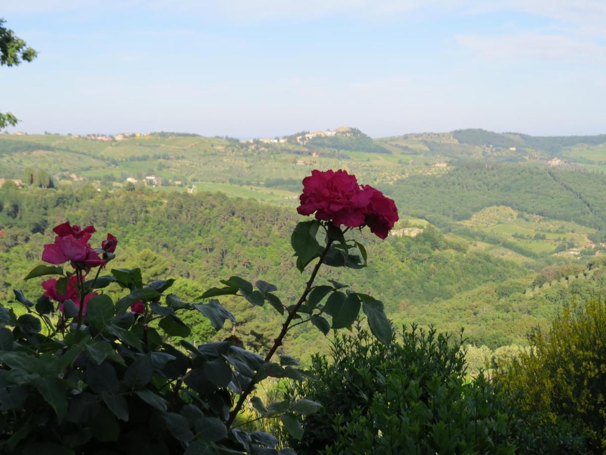 Podere Campolungo Греве-ін-К'янті Екстер'єр фото